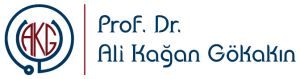 cropped-ali-kagan-gokakin-logo-1